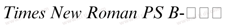 Times New Roman PS B字体转换